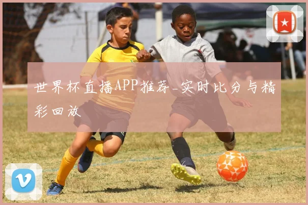世界杯直播APP推荐_实时比分与精彩回放