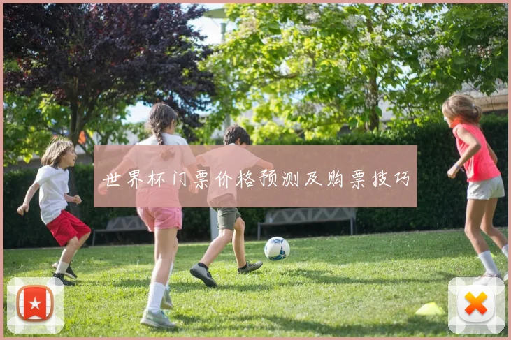 世界杯门票价格预测及购票技巧